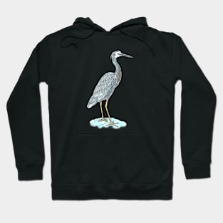 White-faced Heron Hoodie